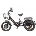 Электровелосипед Green City E-Alfa Trike