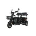 Трицикл White Siberia Sibtrike R 2000W