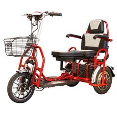 Трицикл Elbike Адъютант Double Twix